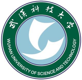 Wuhan University of Science and Technology